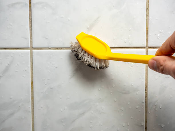Mold Testing and Removal in Wellsville, MO