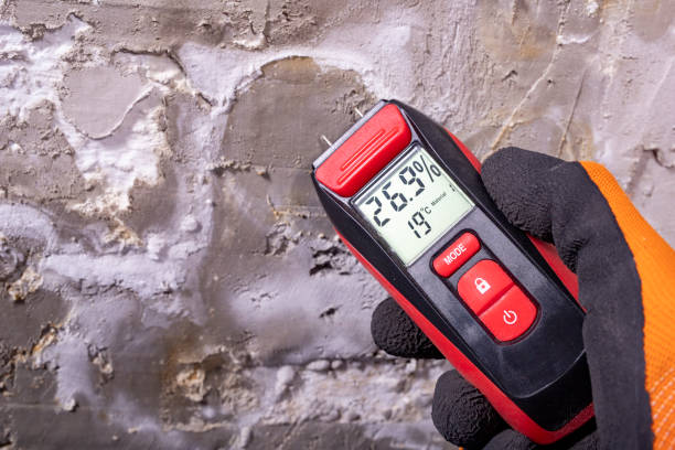 Best Mold Removal Company Near Me  in Wellsville, MO