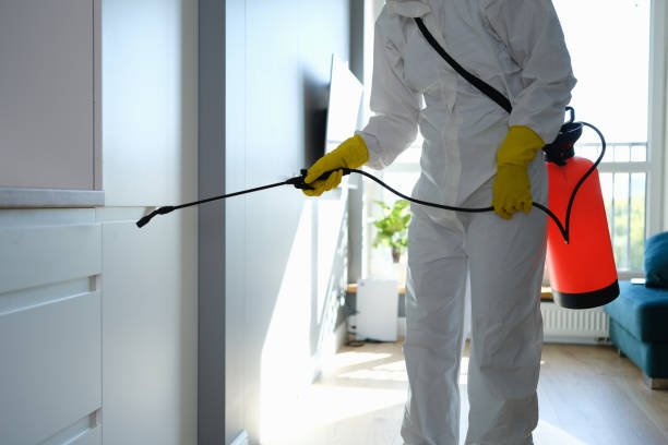 Best Mold Testing and Removal  in Wellsville, MO